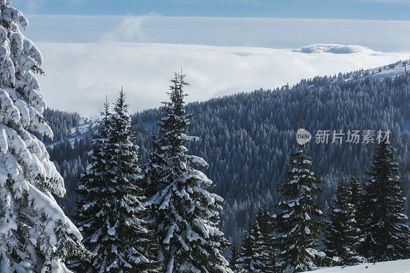 冬天的风景