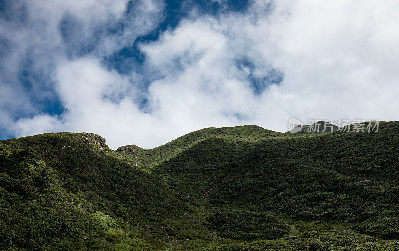 很棒的风景