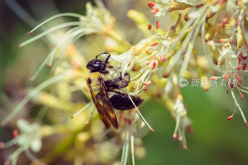 自然风景优美