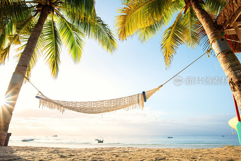 清晨热带海滩上棕榈树下的吊床