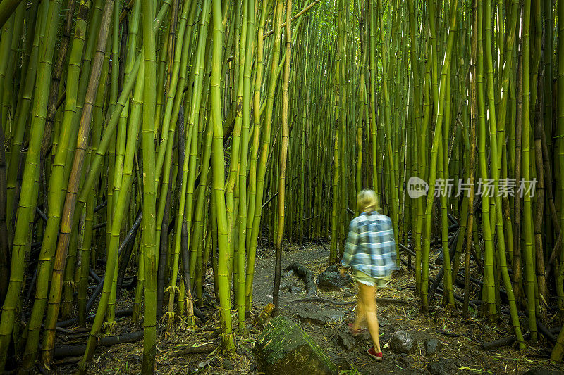 一名妇女在毛伊岛的竹林中行走。