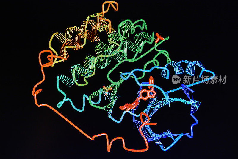 蛋白质的晶体结构。