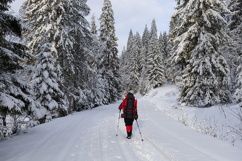 一个孤身一人在冬天的森林里徒步旅行