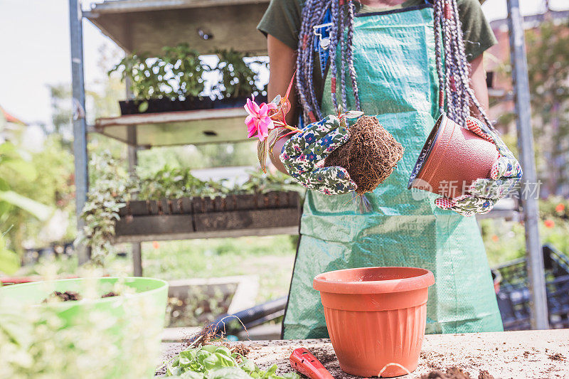 Re-Potting。年轻女子在花园里盆栽植物