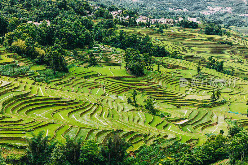 中国云南的阶地