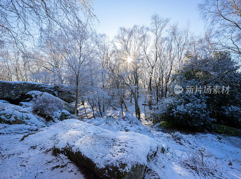 冬天的低太阳与阴影和蓝天在下雪的英格兰约克郡乡村与树木