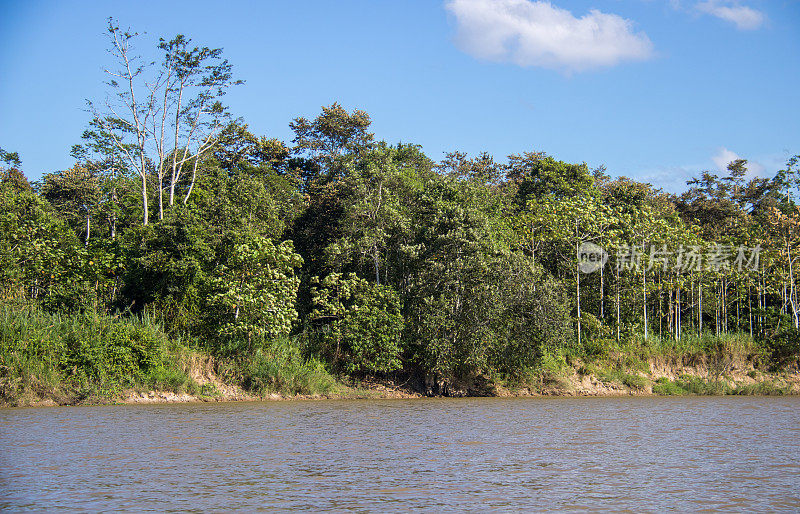 马来西亚:kinabahandriver