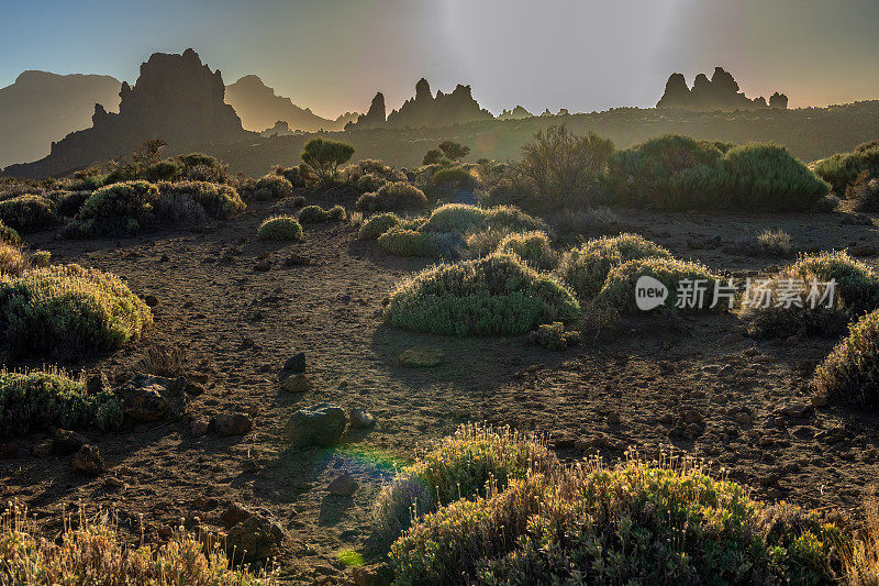 Teide山景观，Teide火山和Teide国家公园的熔岩风景-特内里费，西班牙