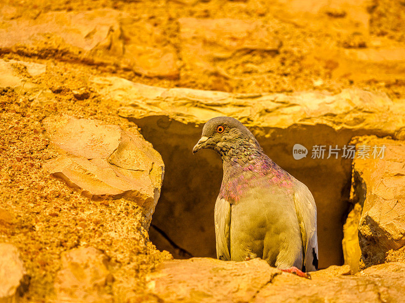 意大利托斯卡纳和翁布里亚地区