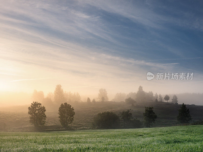 夏日清晨的田野和薄雾笼罩着美丽的瑞典风景