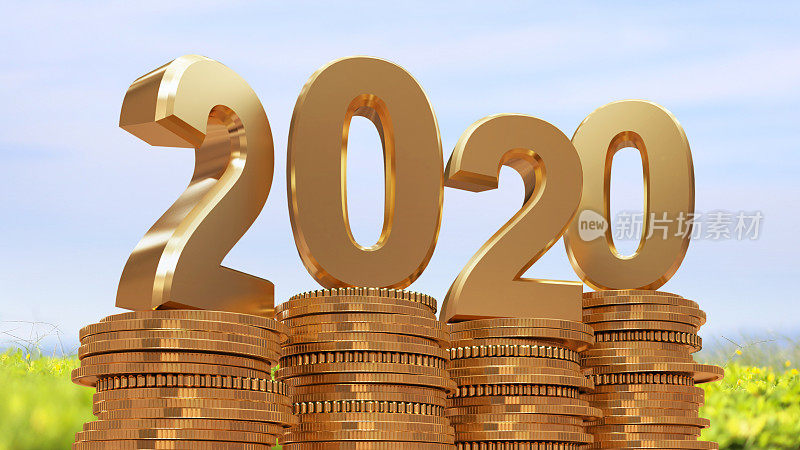 2020金币