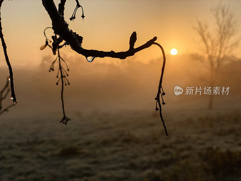 荒原上灿烂的日出