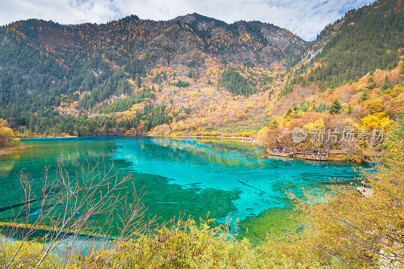 风景优美的木山和五花湖(九寨沟国家公园)，中国