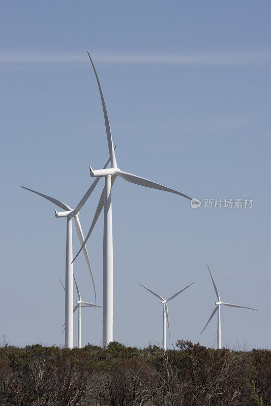 风力发电厂的涡轮机生产可再生能源得克萨斯州的大春天