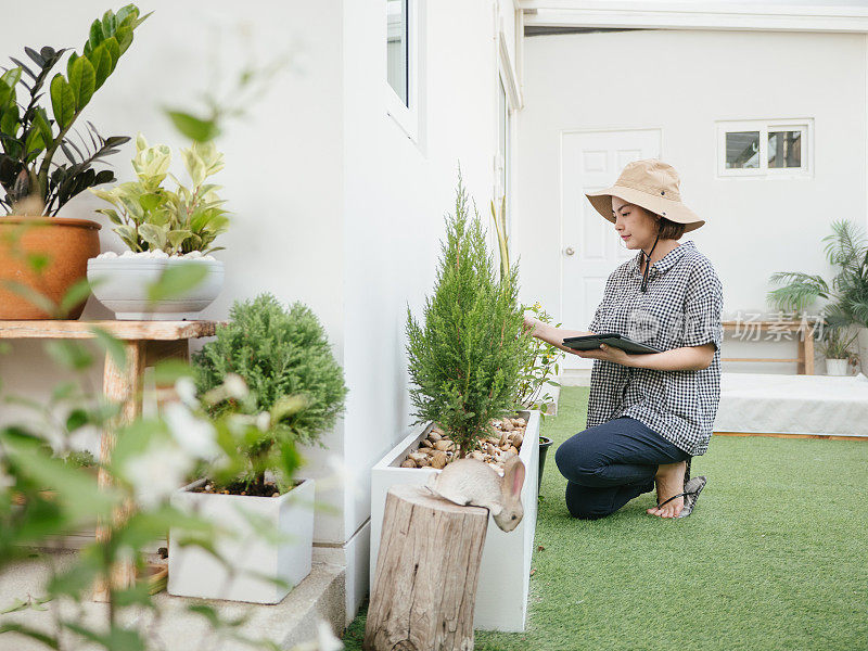 亚洲妇女在花园种植前检查作物。