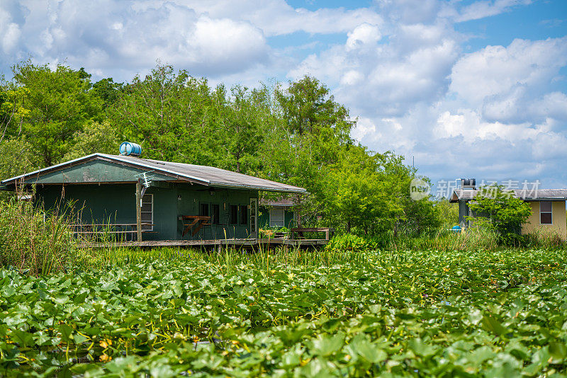 湿地住宅，大沼泽地国家公园，佛罗里达，美国
