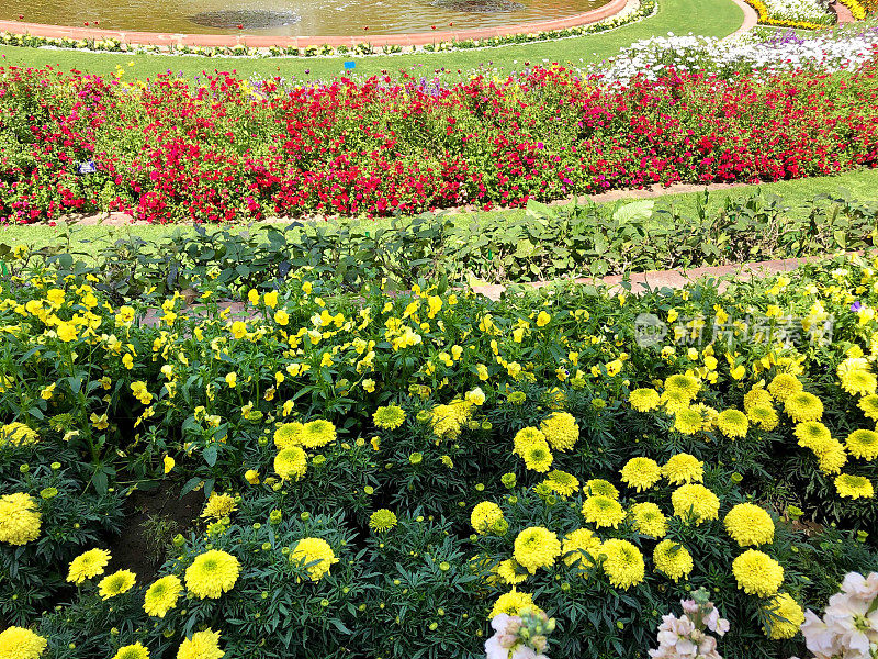 圆形花园池塘的图像与喷泉周围的分层花坛和修剪整齐的草坪