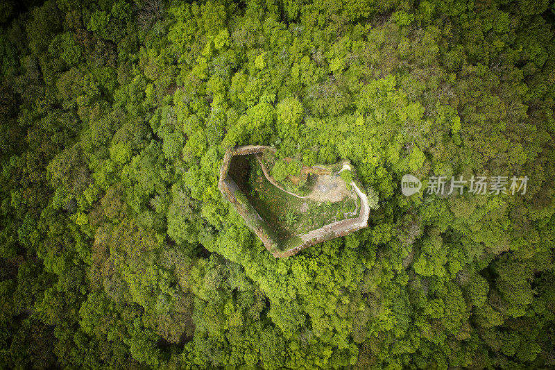 森林鸟瞰图中的心形废弃废墟