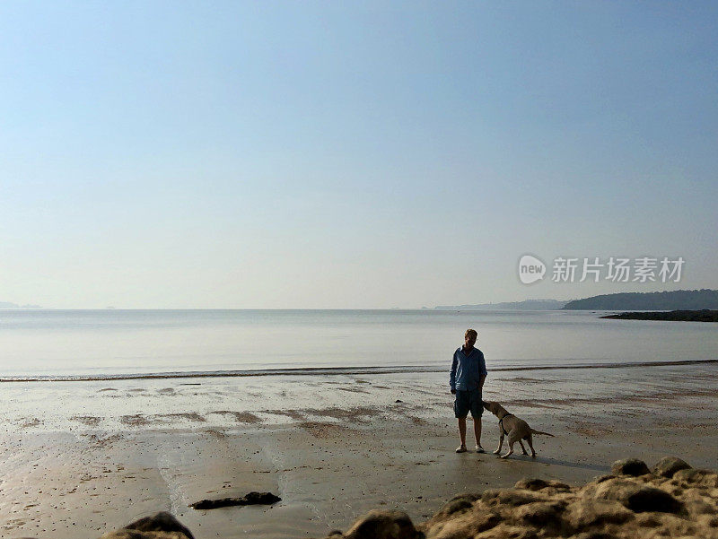 印度喀拉拉邦的科钦Cherai海滩，人们在海边散步，被好奇的流浪狗嗅来嗅去