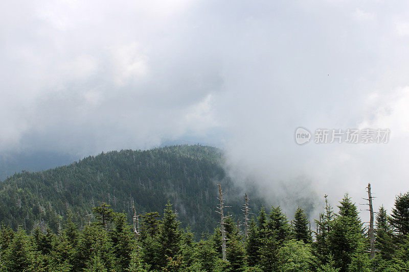 晨雾中的大烟山