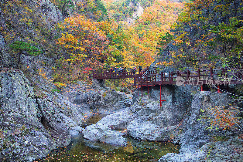 韩国秋景