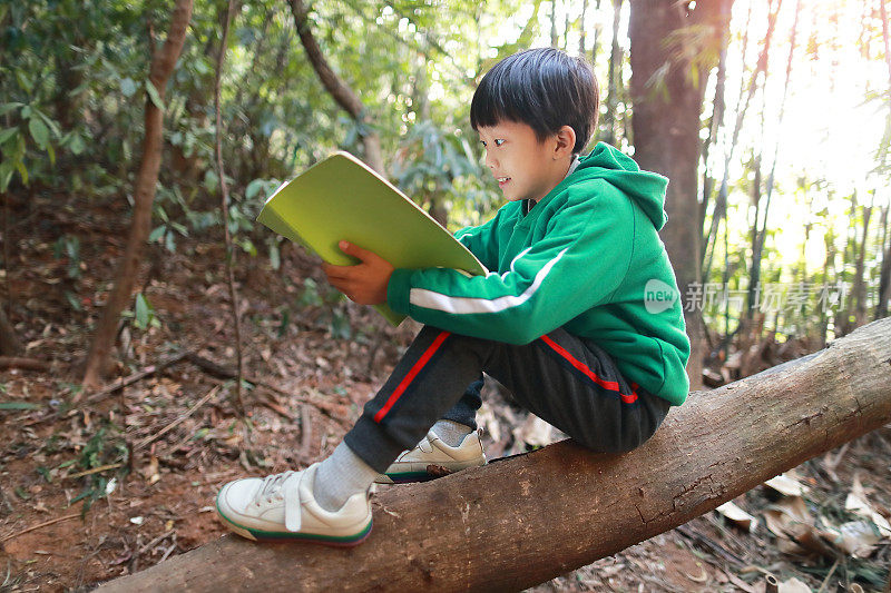 小男孩在看书