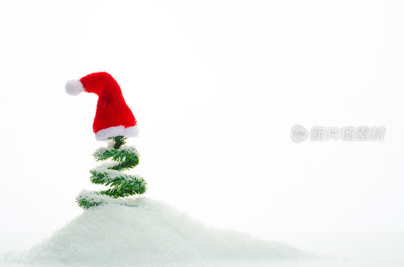 小圣诞树上戴着红帽子，圆圆帽上孤立着白色的标志
