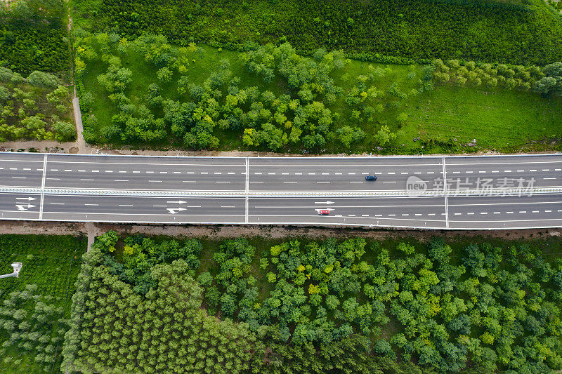 空中高速公路、森林