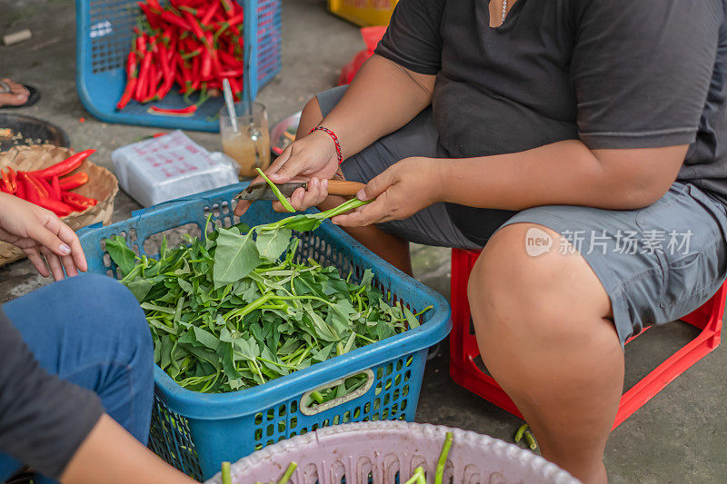 两个认不出来的亚洲女人正在切牵牛花蔬菜