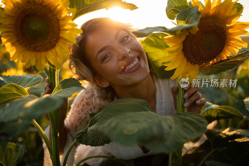 向日葵地里美丽的年轻女子的肖像