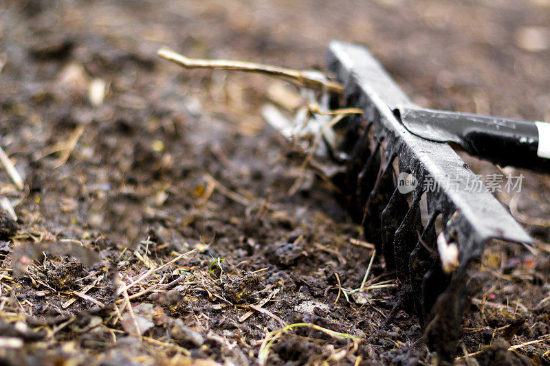 特写花园耙。黑色金属耙子正被拉过干燥的土壤准备种植。花园床上的旧耙子。春季大扫除。耙园耙地，耙工。有选择性的重点