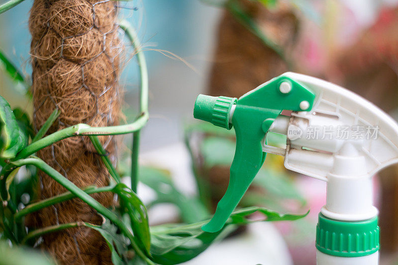 绿色喷雾瓶可用于对家居花园植物喷洒肥料、农药、水、抗真菌