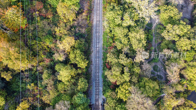 鸟瞰图:夏天的森林场景，火车在树带之间。