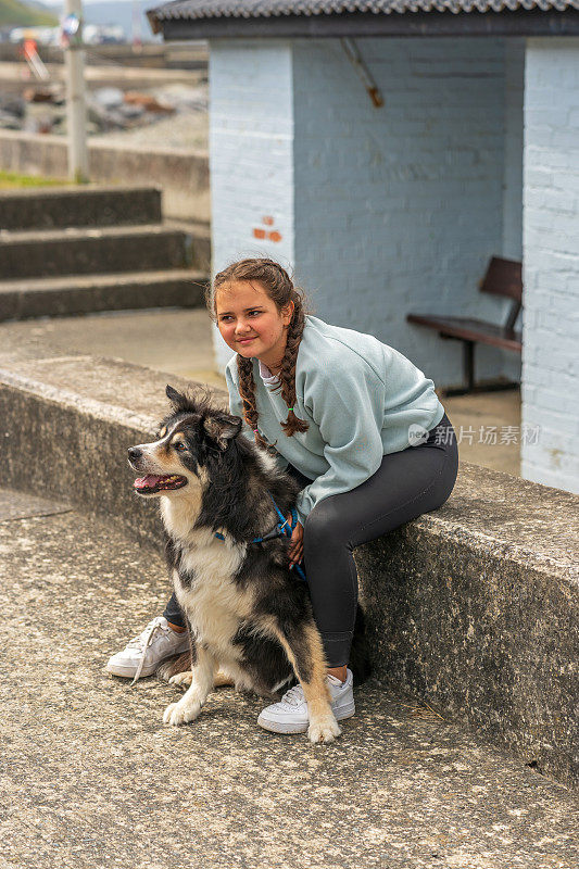 十几岁的女孩和边境牧羊犬