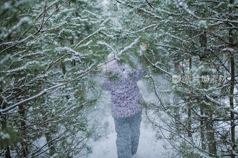 罕见的观点，女孩在家庭行走在冰雪森林在冬季仙境，回来，天气