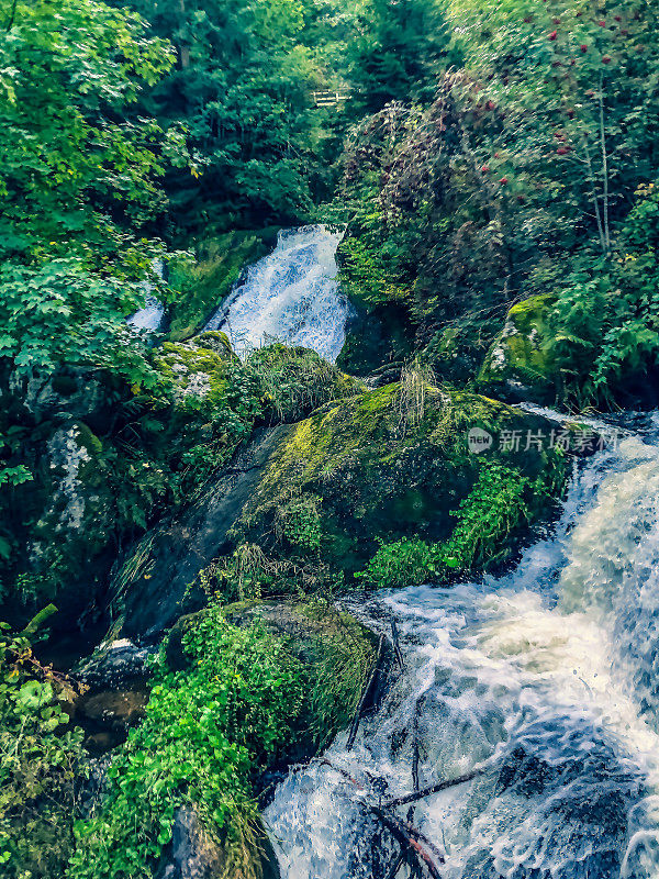 黑森林中有瀑布的小石河。