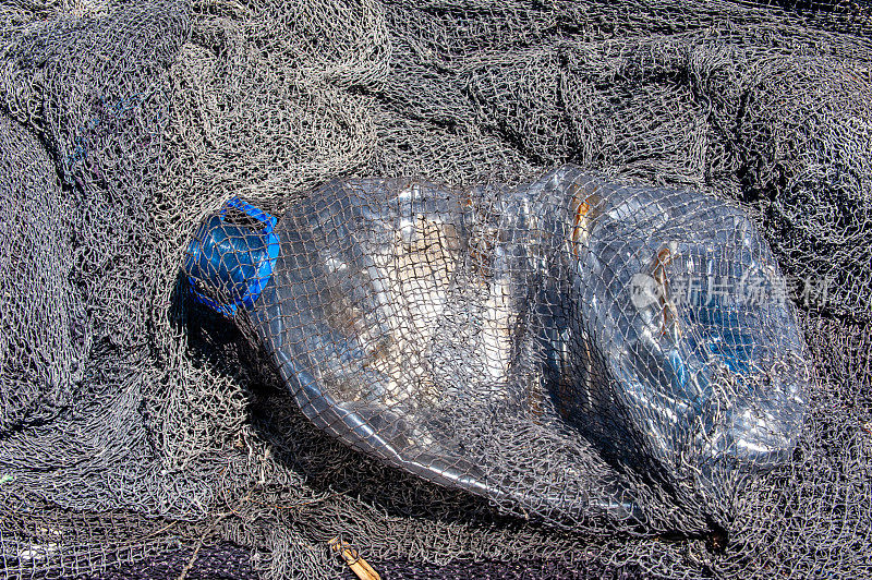 塑料宠物瓶被渔网捕获