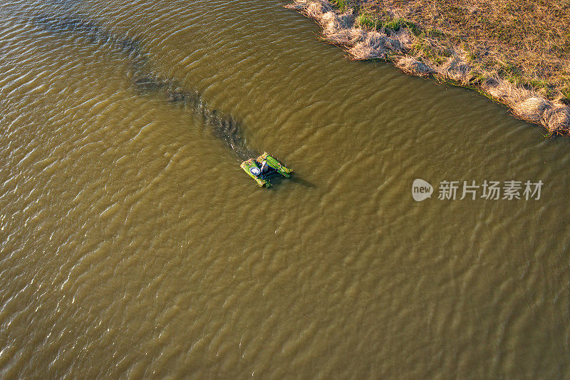 收集莎草