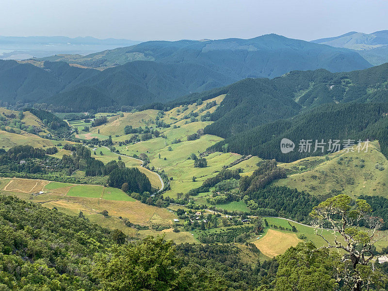 金海湾，阿贝尔塔斯曼国家公园，Tākaka，新西兰