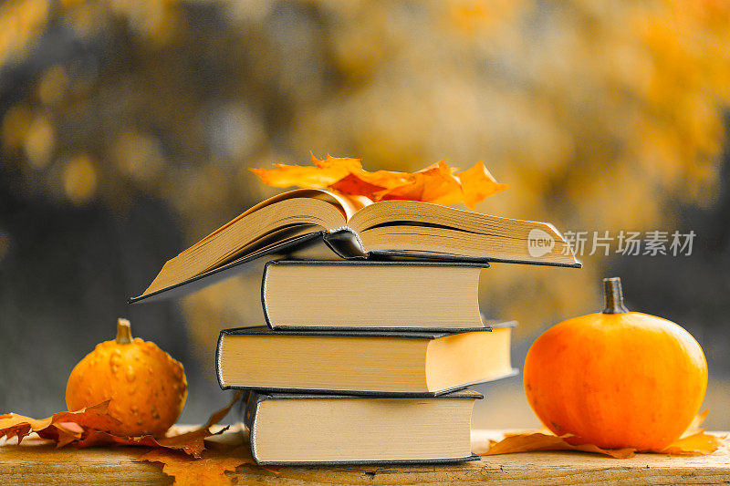 回到学校。秋天主题阅读。秋天花园里的书和南瓜。开始上学和上大学的季节