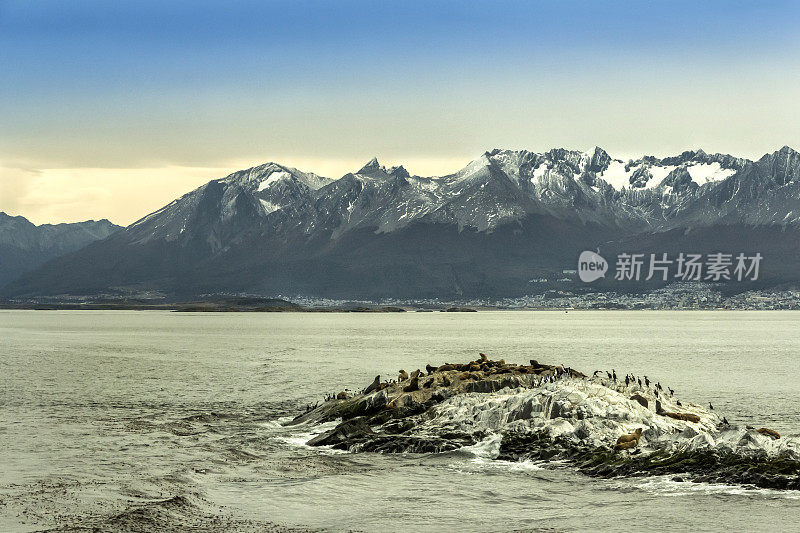 海狼岛，作为背景的乌斯怀亚市在安第斯山脉脚下，在比格尔海峡，火地岛，巴塔哥尼亚，阿根廷。