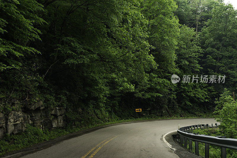 道路蜿蜒穿过茂密的森林