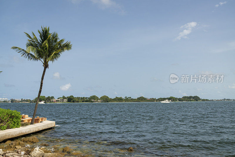 迈阿密湾海滨以佛罗里达州的蓝天为背景