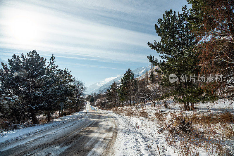 土路穿过山上积雪覆盖的冷杉林地。