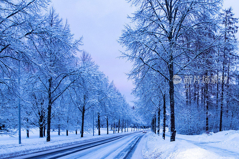 冬天的景色和白雪覆盖的树木和城市道路在黄昏的黄昏。