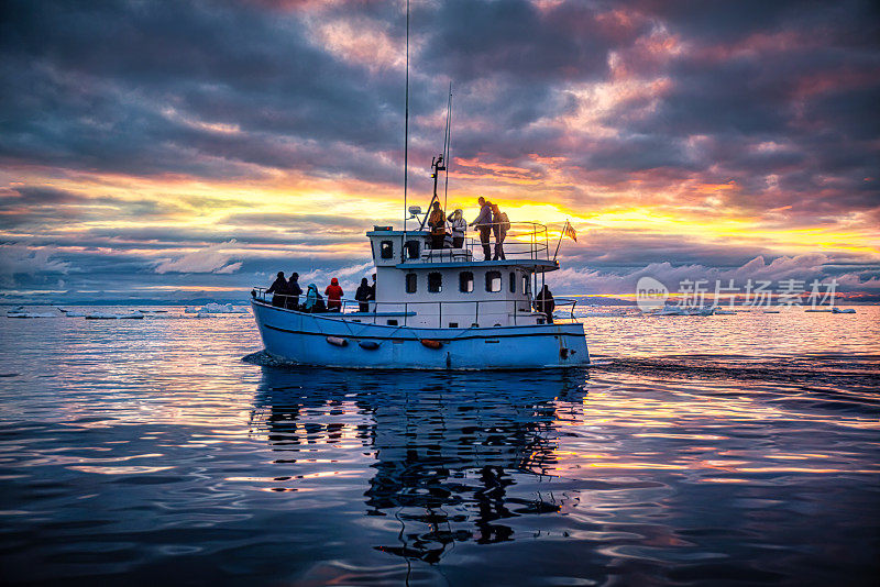 格陵兰岛的午夜太阳和观鲸之旅