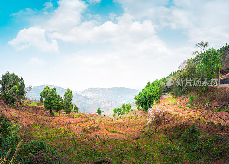 清晨的群山