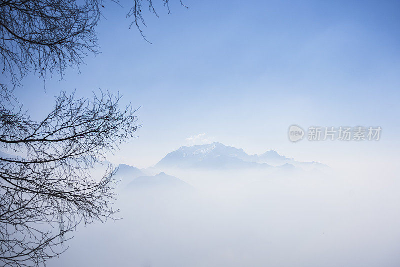 山脊，云低，树枝干