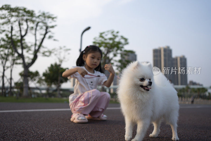 可爱的亚洲小女孩和她的宠物的快乐时光