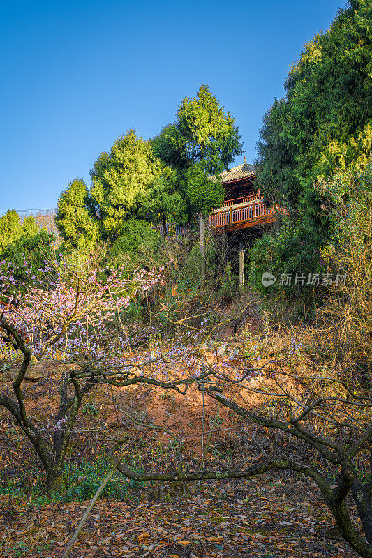 太阳从群山中升起。